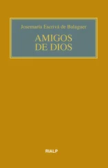 Josemaria Escriva de Balaguer - Amigos de Dios (bolsillo, rústica, color)