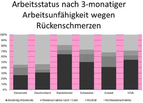 Abb 1 Who returns to work and why Bloch Prins 2001 Während in den - фото 2