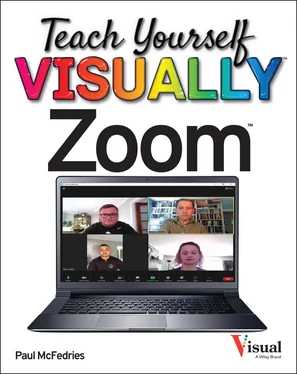 Paul McFedries Teach Yourself VISUALLY Zoom обложка книги