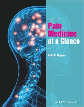 Beth B. Hogans Pain Medicine at a Glance обложка книги