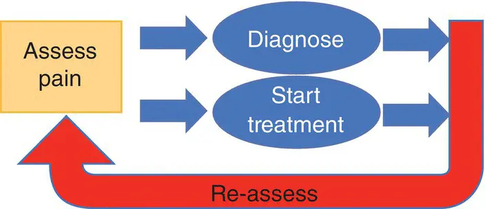 Figure 81 Parallel pathway model Diagnosis and initiation of treatment - фото 18