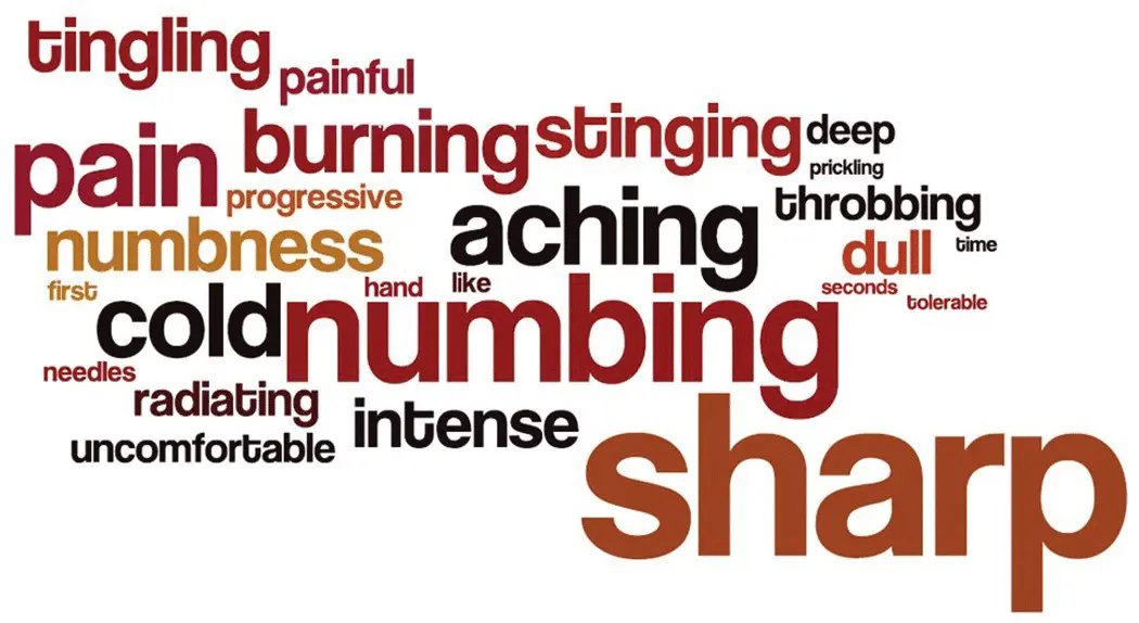 Figure 62 Qualities of pain examples The temporal courseof pain is another - фото 17