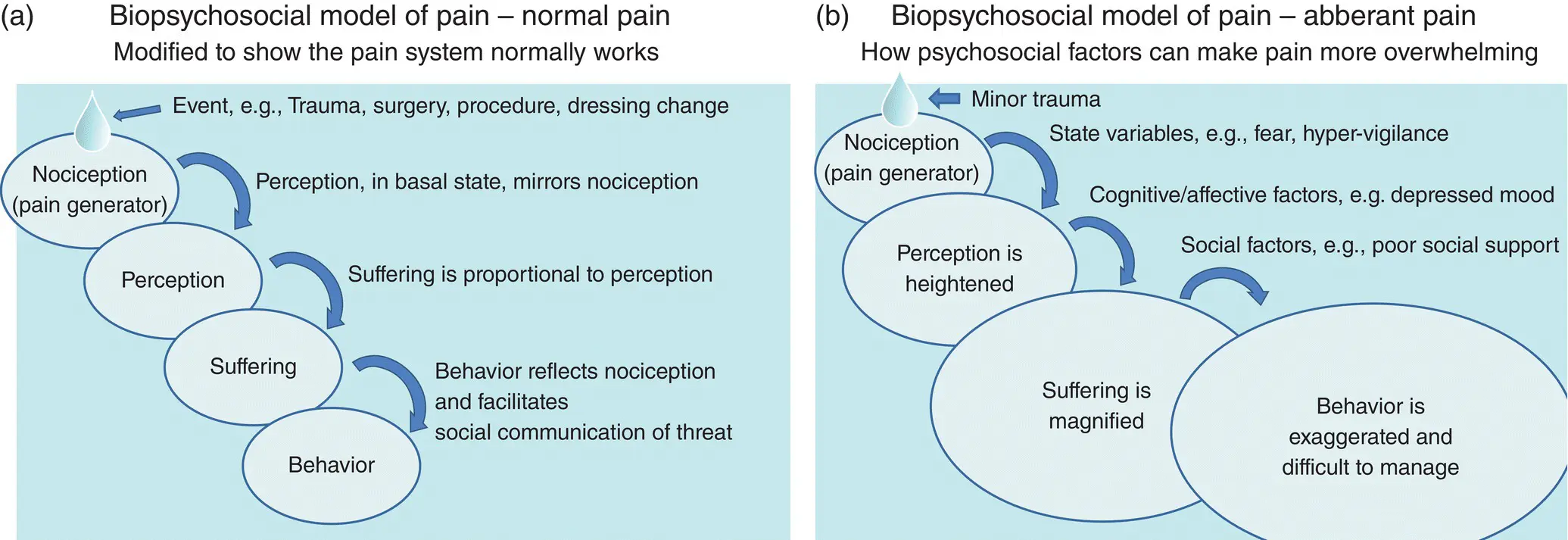 Figure 82 Mechanismbased classification of pain overview rationale for - фото 19
