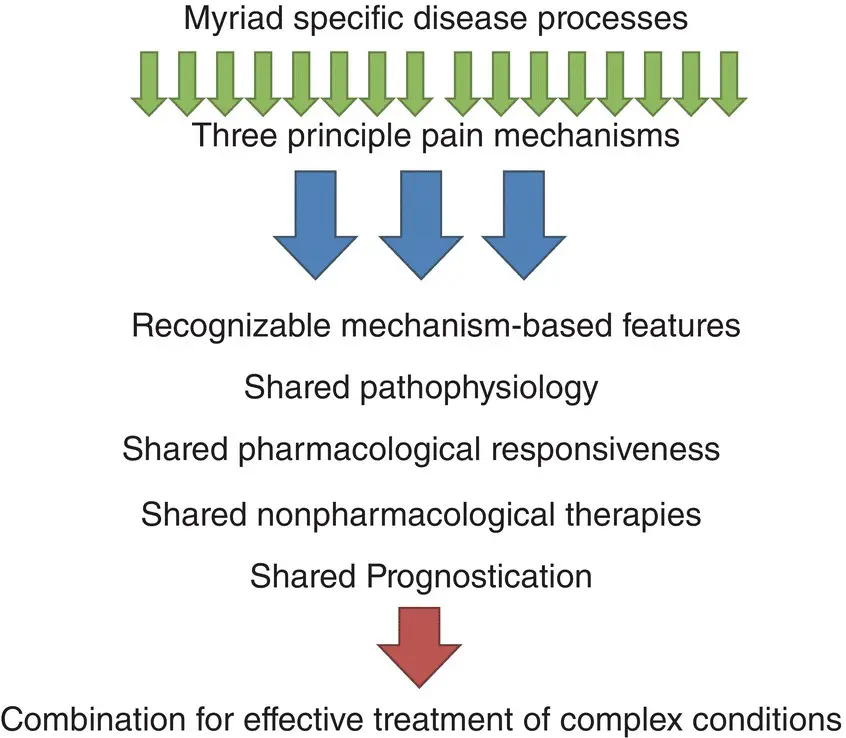 Figure 83 Balancing knowledge of disease with patientcentered understanding - фото 20
