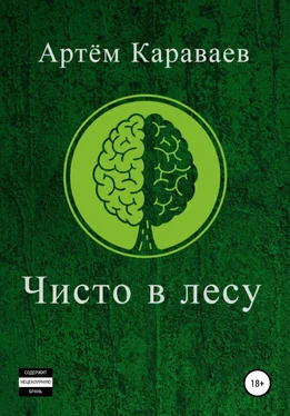 Артём Караваев Чисто в лесу обложка книги