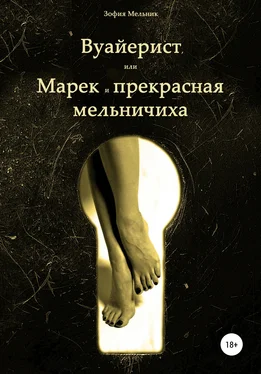 Зофия Мельник Вуайерист, или Марек и прекрасная мельничиха обложка книги