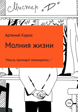 Артемий Карно Молния Жизни обложка книги