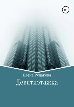 Елена Рудакова Девятиэтажка обложка книги