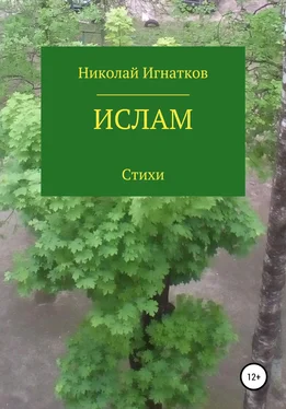 Николай Игнатков Ислам обложка книги