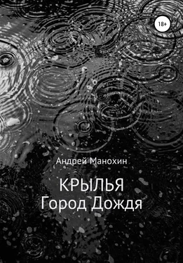 Андрей Манохин Крылья. Город Дождя