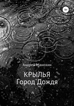 Андрей Манохин Крылья. Город Дождя обложка книги