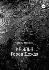 Андрей Манохин - Крылья. Город Дождя