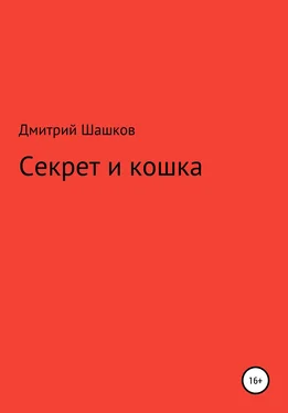 Дмитрий Шашков Секрет и кошка обложка книги