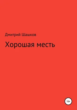 Дмитрий Шашков Хорошая месть обложка книги