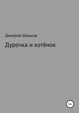 Дмитрий Шашков Дурочка и котёнок обложка книги