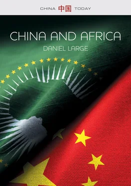 Daniel Large China and Africa обложка книги