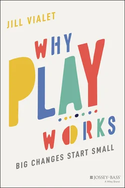 Jill Vialet Why Play Works обложка книги