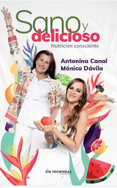 Antonina Canal Sano y delicioso обложка книги