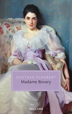 Gustave Flaubert Madame Bovary. Sittenbild aus der Provinz обложка книги
