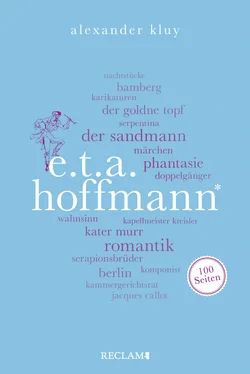 Alexander Kluy E. T. A. Hoffmann. 100 Seiten обложка книги