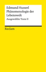Edmund Husserl - Phänomenologie der Lebenswelt. Ausgewählte Texte II