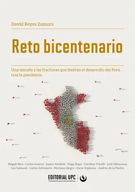 David Reyes Zamora Reto bicentenario обложка книги
