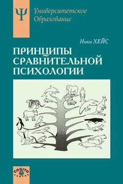 Ники Хейс Принципы сравнительной психологии обложка книги