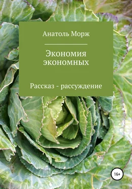 Анатоль Морж Экономия экономных обложка книги