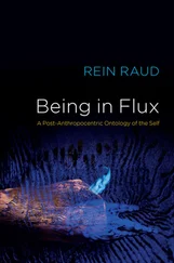 Rein Raud - Being in Flux