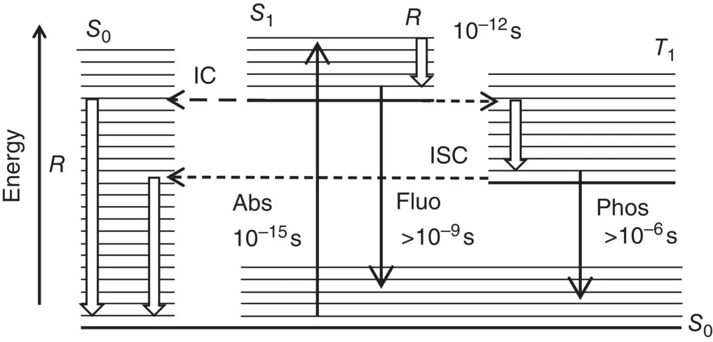 Figure 16Jablonski diagram for the transition processes of electrons among - фото 125