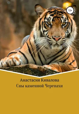 Анастасия Кивалова Сны каменной Черепахи обложка книги