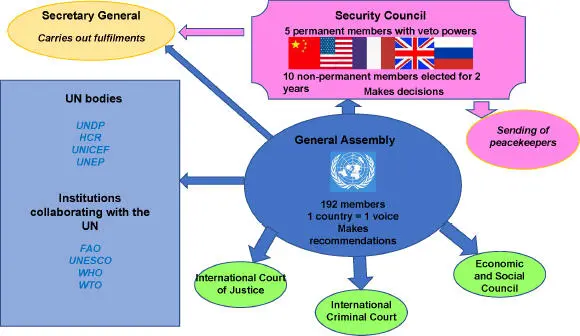 Figure 11 The United Nations organization For a color version of this - фото 2