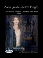 Amy Blankenship - Zwartgevleugelde Engel