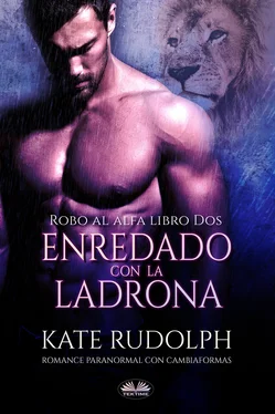 Kate Rudolph Enredado Con La Ladrona обложка книги
