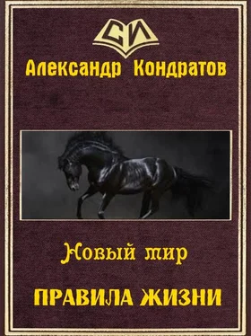 Александр Кондратов Новый мир. Правила жизни