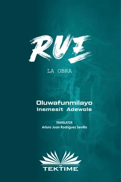 Oluwafunmilayo Inemesit Adewole RUE обложка книги