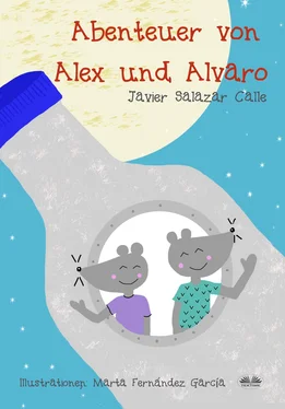 Javier Salazar Calle Die Abenteuer Von Alex Und Alvaro обложка книги