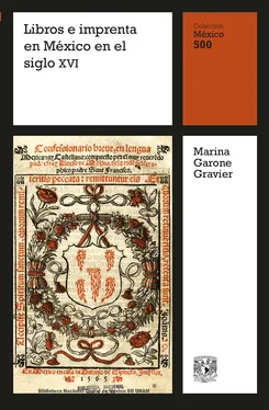 Marina Garone Gravier Libros e imprenta en México en el siglo XVI обложка книги