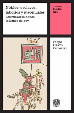 Felipe Castro Gutiérrez Nobles, esclavos, laboríos y macehuales: Los nuevos súbditos indianos del rey обложка книги