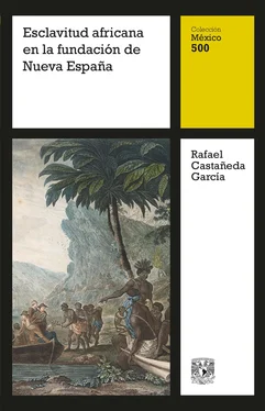 Rafael Castañeda García Esclavitud africana en la fundación de Nueva España обложка книги