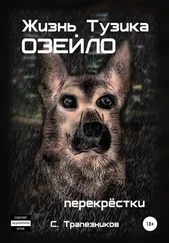 Сергей Трапезников - Жизнь Тузика Озейло. Перекрёстки
