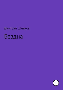Дмитрий Шашков Бездна обложка книги