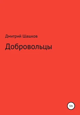 Дмитрий Шашков Добровольцы обложка книги