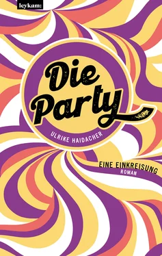 Ulrike Haidacher Die Party обложка книги