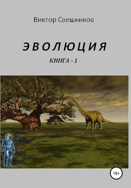 Виктор Свешников Эволюция. Книга 1 обложка книги