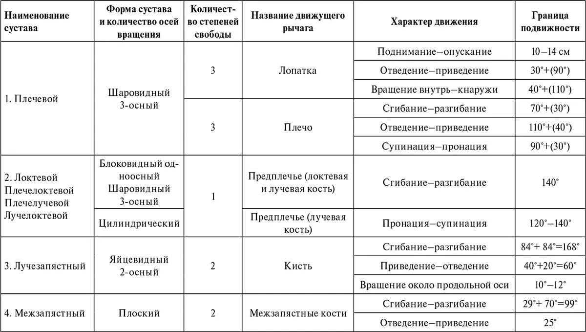 Таблица 2Основные движения верхней конечности Однако такое предположение лишь - фото 2