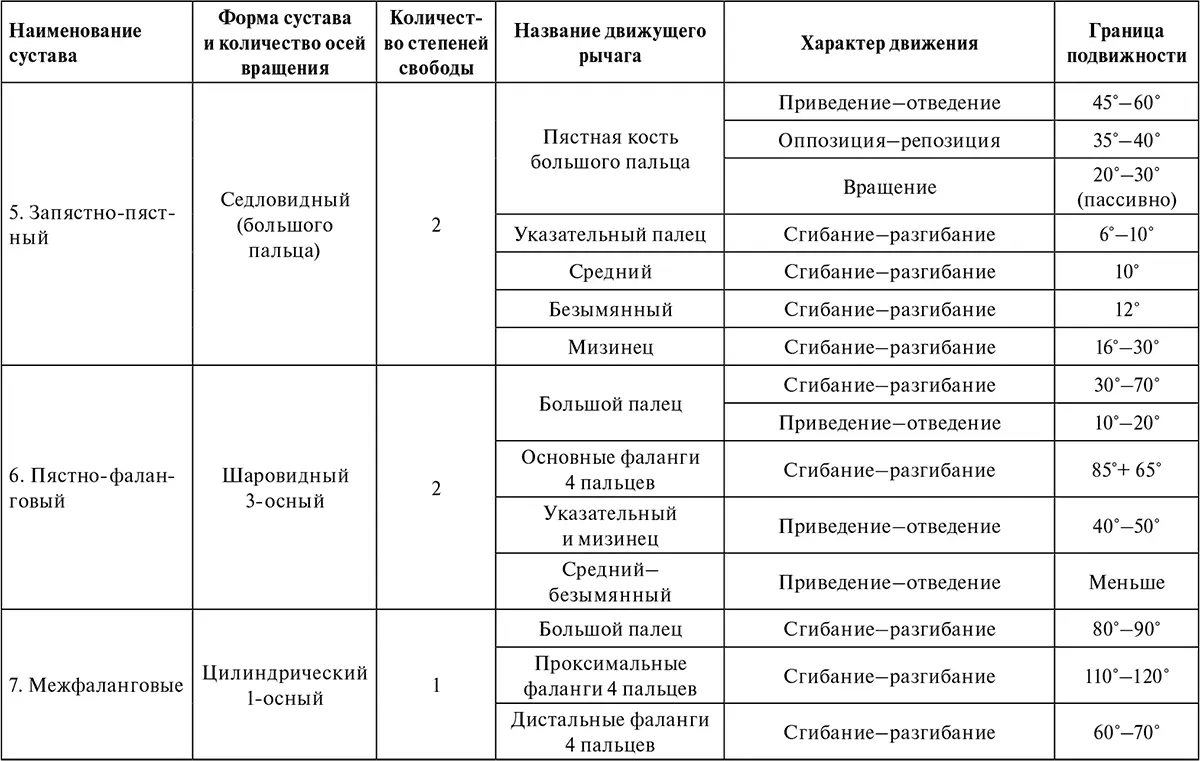 Таблица 2Основные движения верхней конечности Однако такое предположение лишь - фото 3