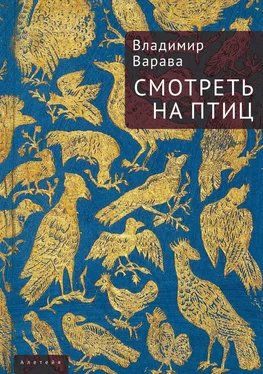 Владимир Варава Смотреть на птиц обложка книги