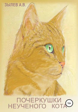 Алексей Зылев Почеркушки неученого кота обложка книги