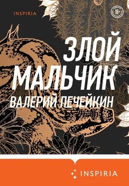Валерий Печейкин Злой мальчик обложка книги